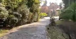 Camino Las Flores