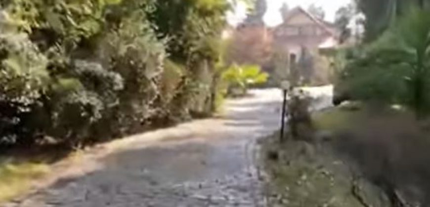 Camino Las Flores